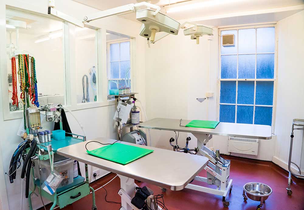 pet clinic facilities example 3