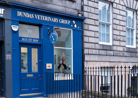 Dundas Veterinary Group Dundas Veterinary Group