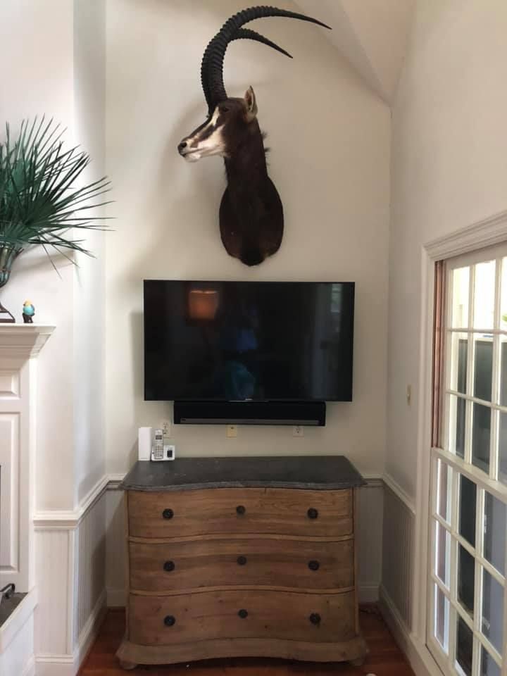 Sable antelope taxidermy above a mounted TV and wooden chest of drawers in a light-walled alcove.