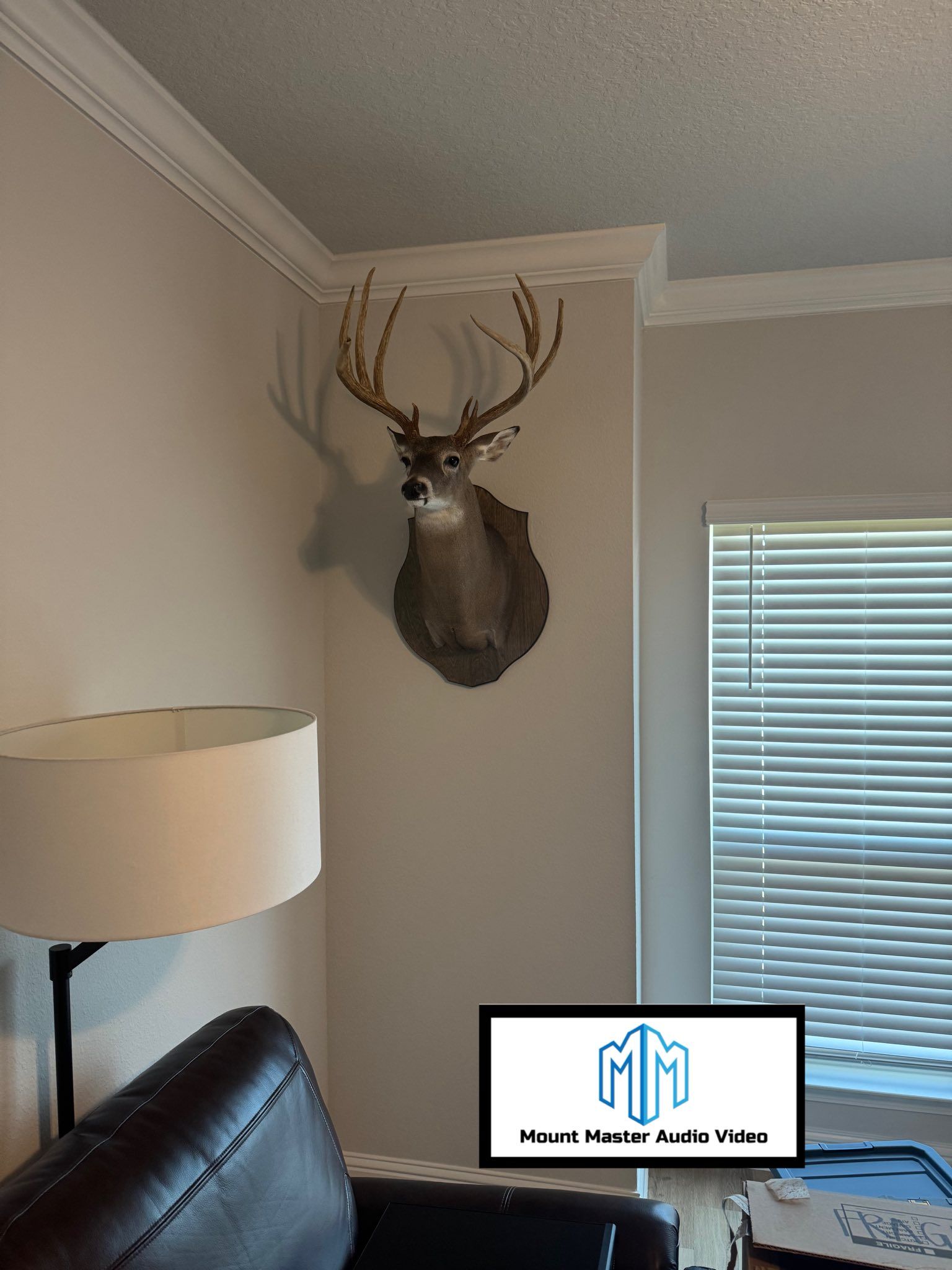 Deer head taxidermy mounted on a tan wall above a leather couch.