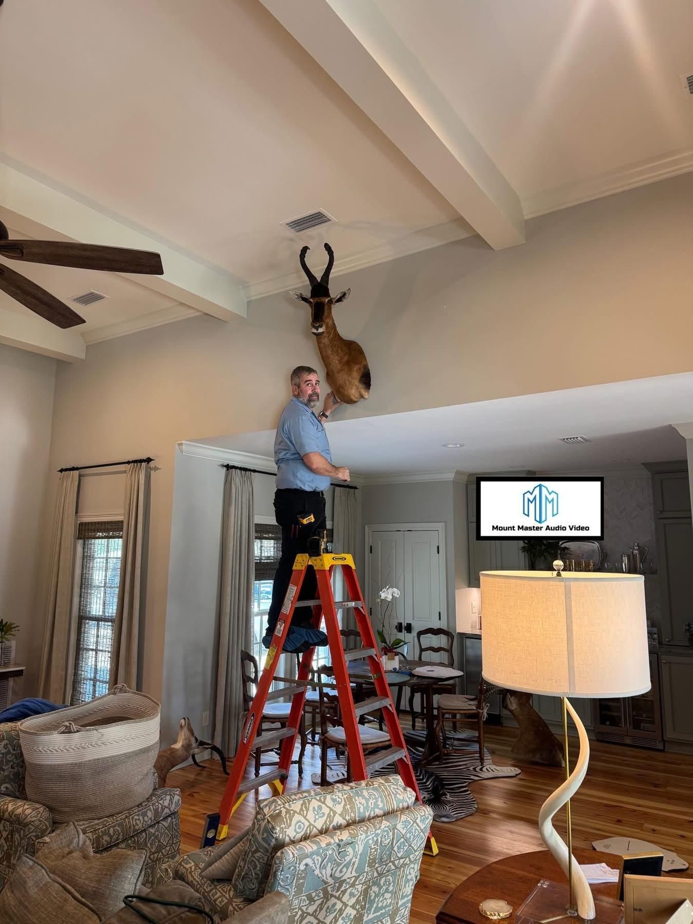 Man on ladder installing antelope head mount in a living room with beams.