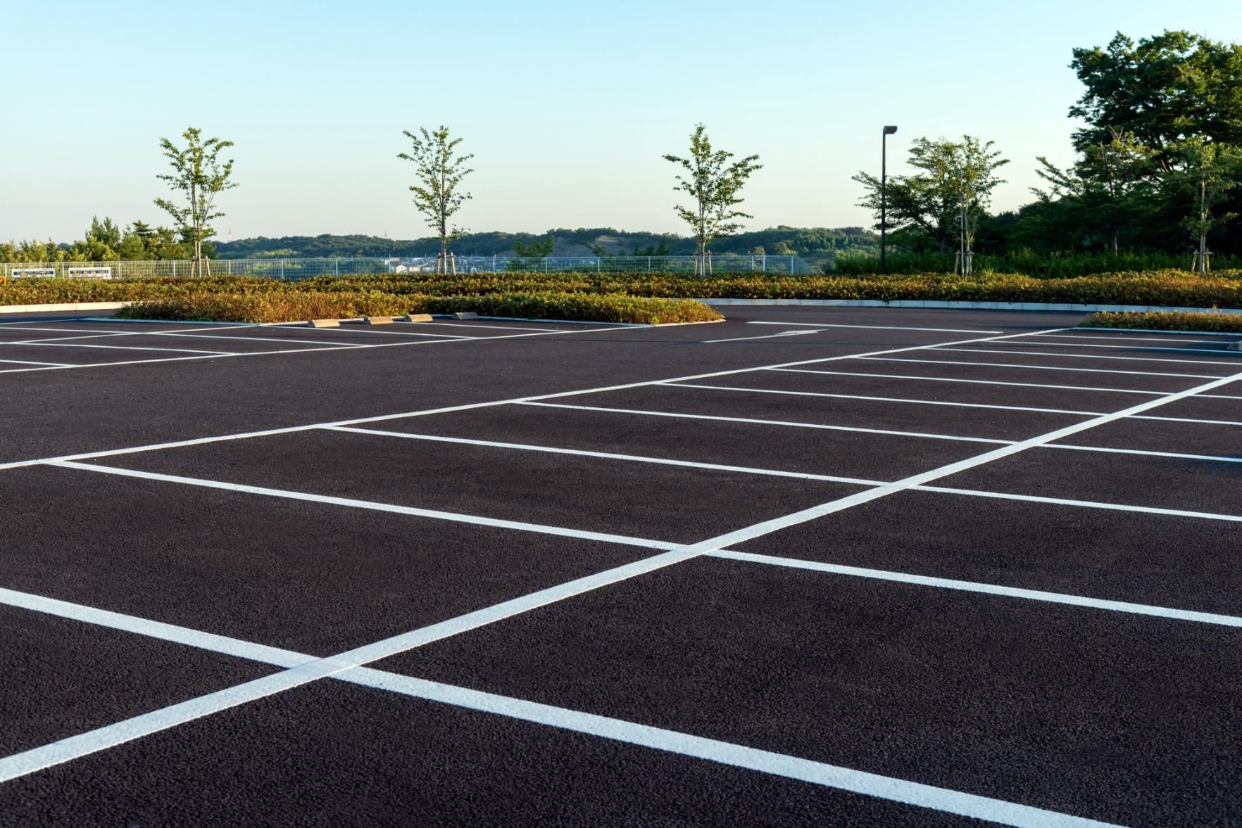An empty, paved parking lot with painted white lines, surrounded by small trees and landscaping under a clear sky.