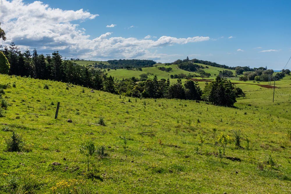 Rolling Hills of the Hinterland of Byron Bay — Superior Wifi In Byron Bay, NSW