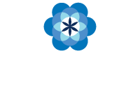 Envision Strategic Partners