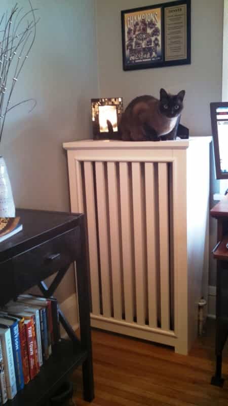 Long Stand Radiator Covers — Minneapolis, MN — Craftsman Radiator Covers