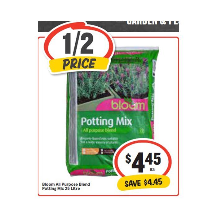 This Week Special Highlights 35