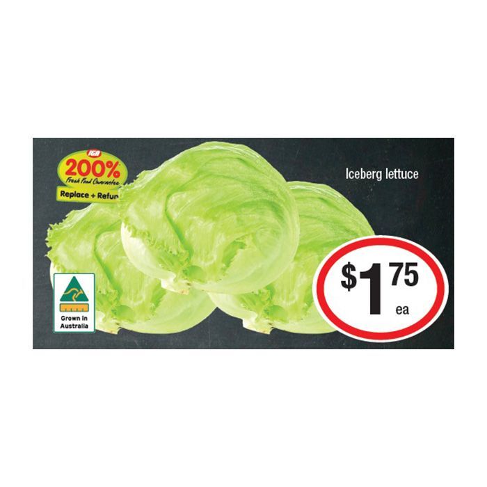 This Week Special Highlights 36