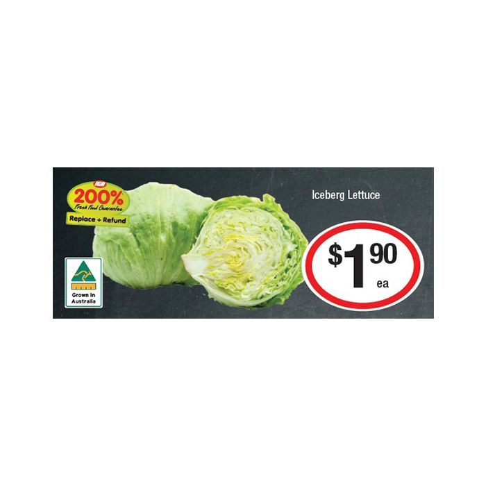 This Week Special Highlights 12