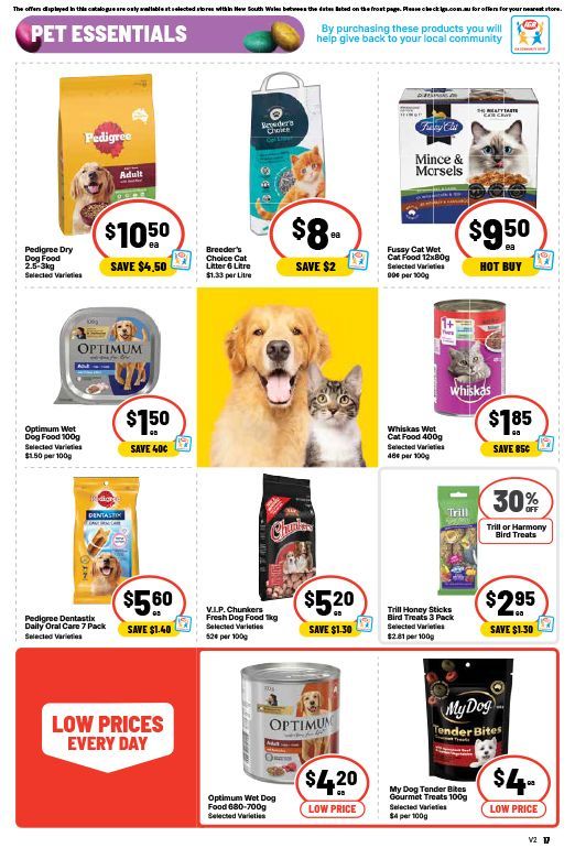 This Week Special Highlights 17