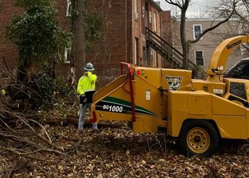 A man is standing next to a tree chipper.