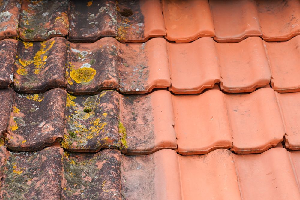 Roof Tiles, One Side Stained with Moss and Algae, the Other Side Clean — Geoff Hall Roofing in Port Macquarie, NSW