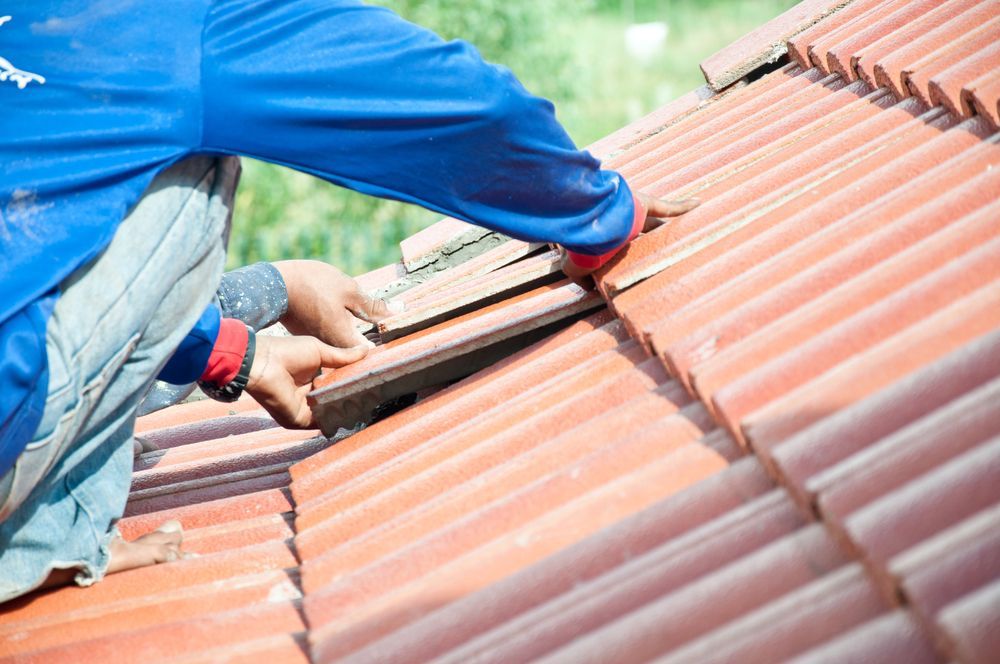 Person in Blue Shirt Installing Terracotta Roof Tiles — Geoff Hall Roofing in South West Rocks, NSW