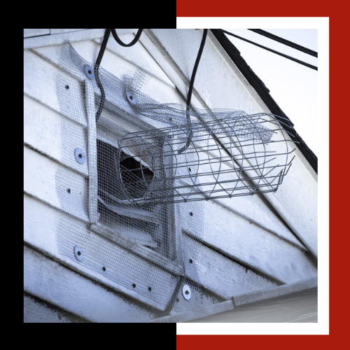 a bird cage is attached to the side of a building