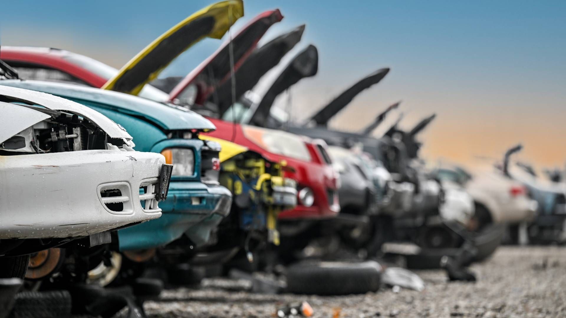 A row of damaged cars are lined up in a junkyard.