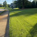 A neatly mowed residential lawn next to a concrete sidewalk, with a parked truck in the background.