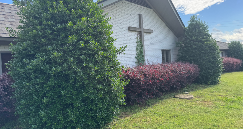 A white brick building with a large wooden cross on its facade, surrounded by green and purple hedges on a grassy lawn.