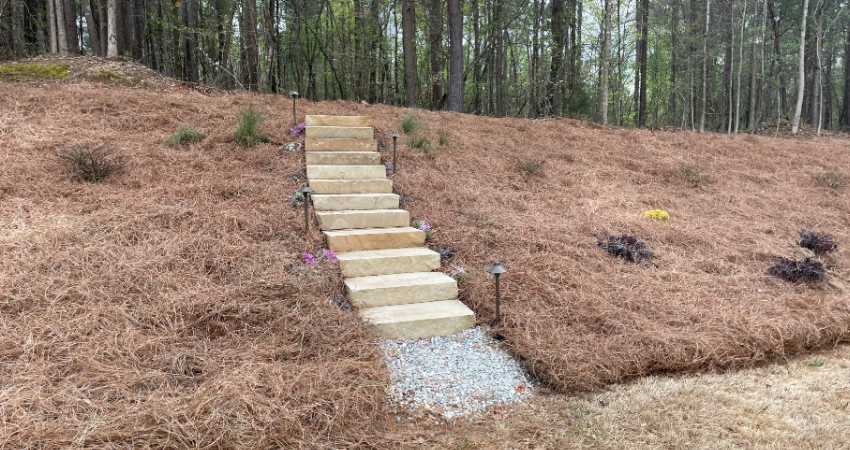 Light-colored stone stairs ascend a grassy, pine-straw-covered hill toward a forest, illuminated by small path lights.