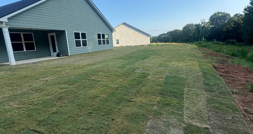 A newly sodded lawn behind a light green house with a covered patio, bordering an area of exposed dirt and tall trees.