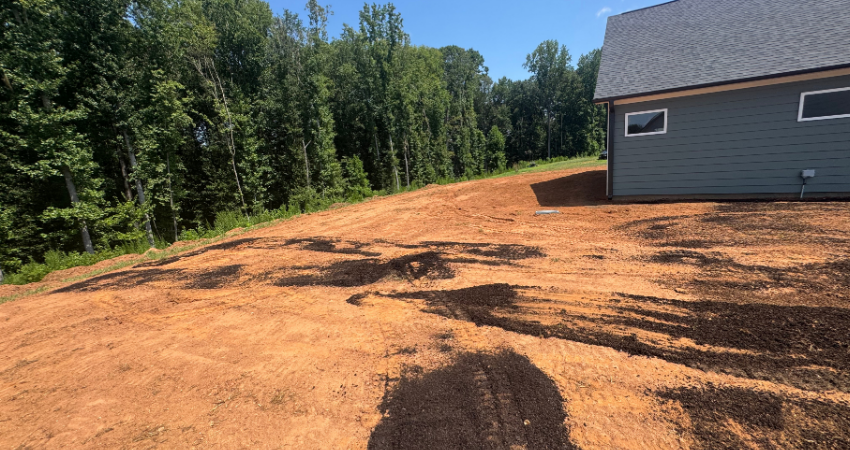 A gray house sits beside a sloping yard of bare, reddish-brown soil with dark tire tracks, bordered by a dense forest.