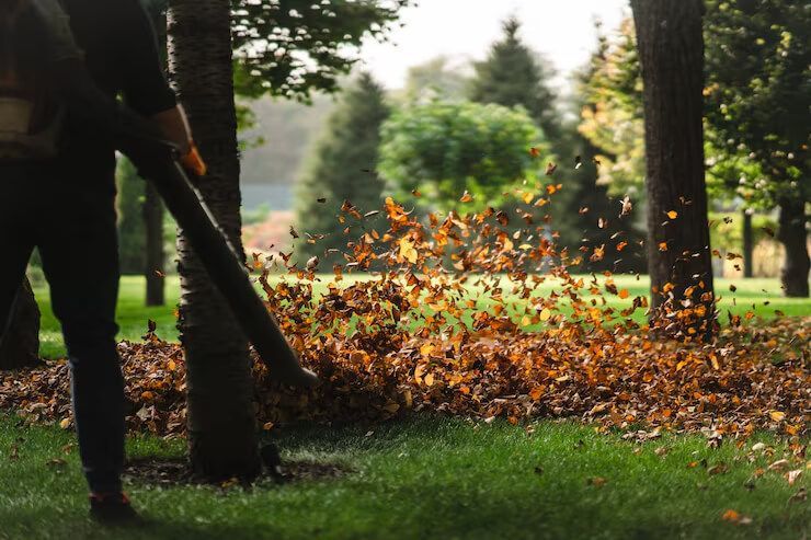 A person uses a leaf blower to clear brown, fallen leaves from a grassy park area on a sunny day.