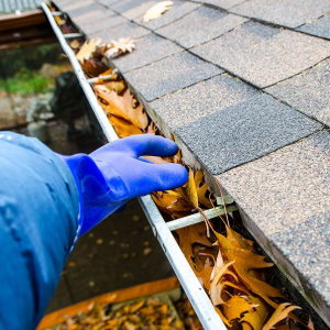 A person wearing a blue glove reaches into a metal rain gutter filled with dry autumn leaves along a shingled roof.