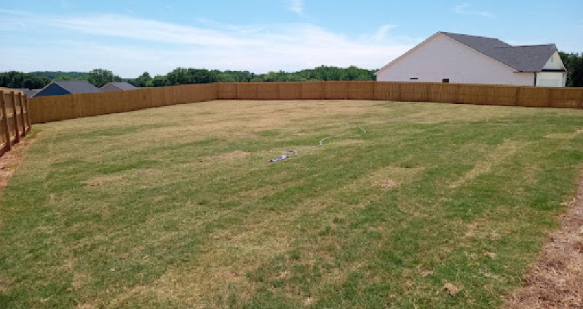 A large, open backyard with patchy light green grass surrounded by a wooden privacy fence under a blue sky.