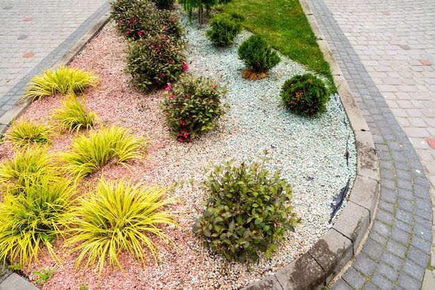 A landscaped garden bed with yellow ornamental grasses, green shrubs, and sections of pink and white gravel.