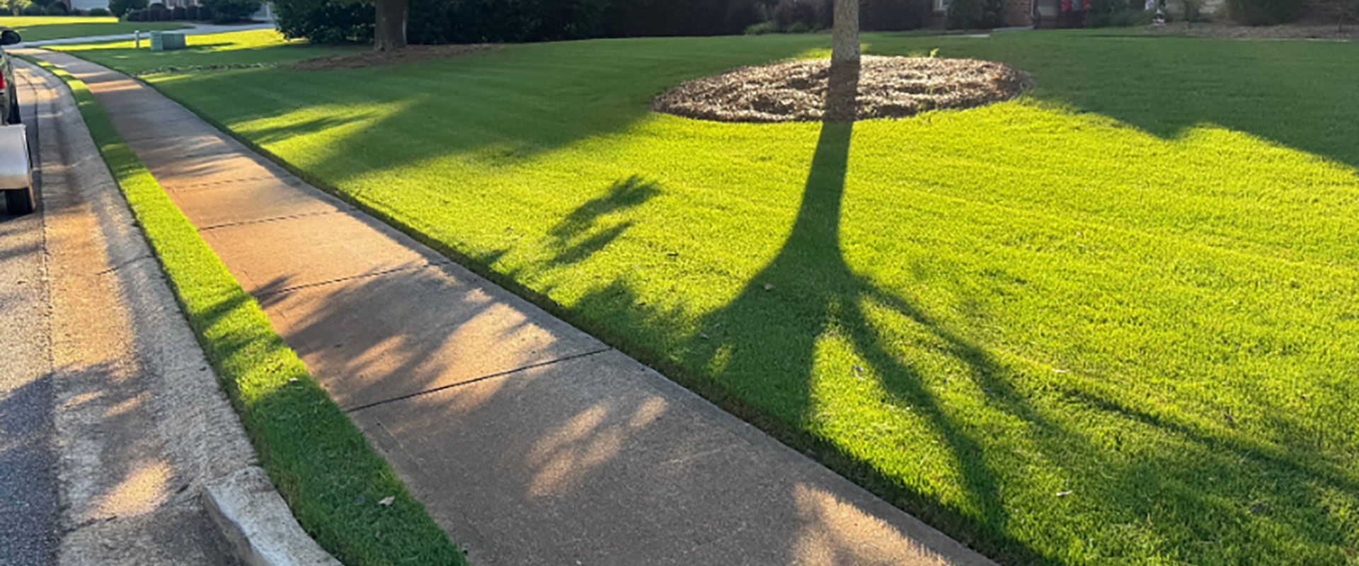 A sunlit sidewalk lined with a green grass lawn, featuring a tree casting a long, distinct shadow across the path.