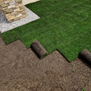 Rolls of fresh green sod being laid onto bare soil next to a stone-paved border.