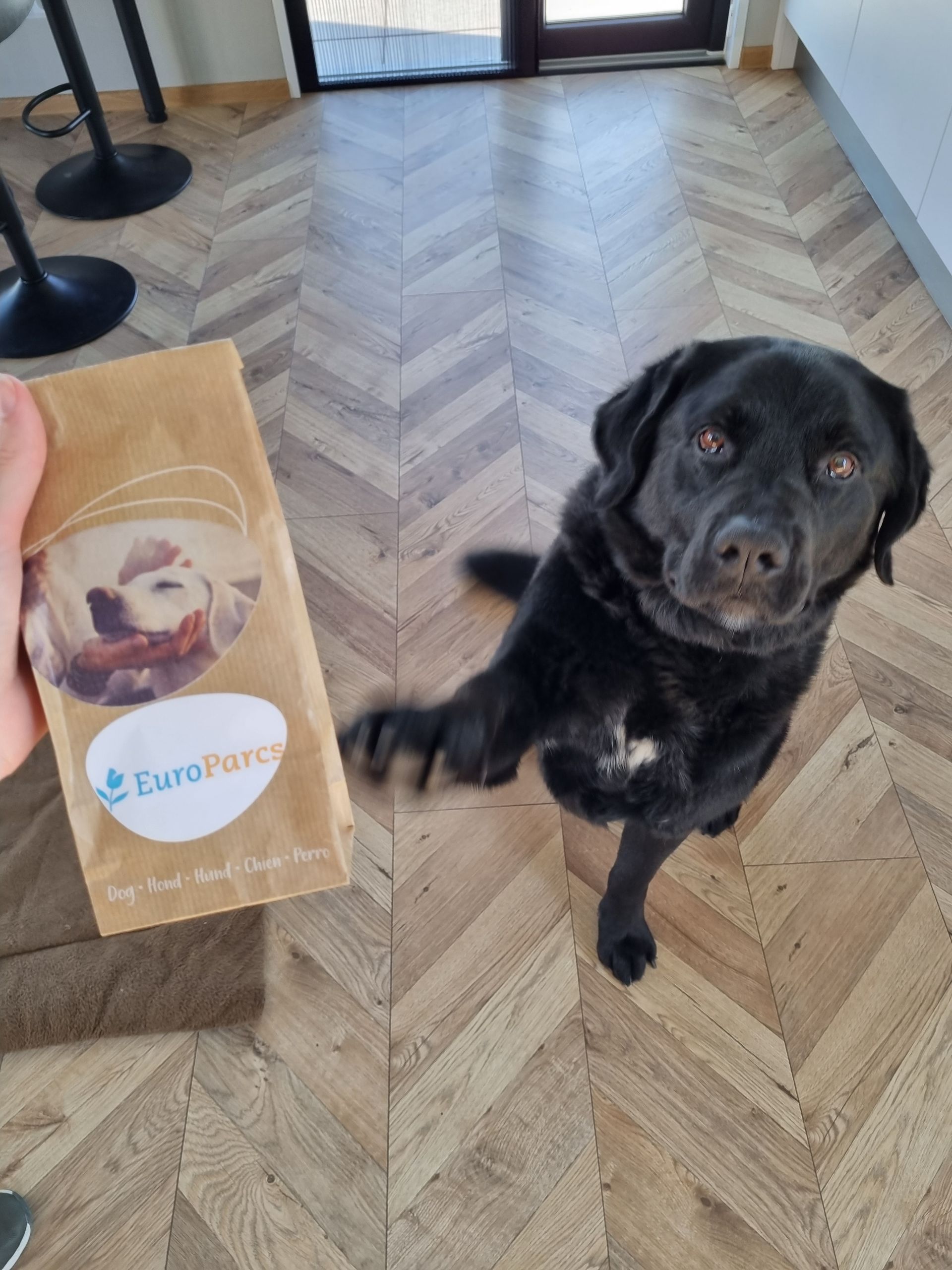 Op vakantie met je hond? In ons 6 persoons vakantiehuis met omheinde tuin zijn honden meer dan welko