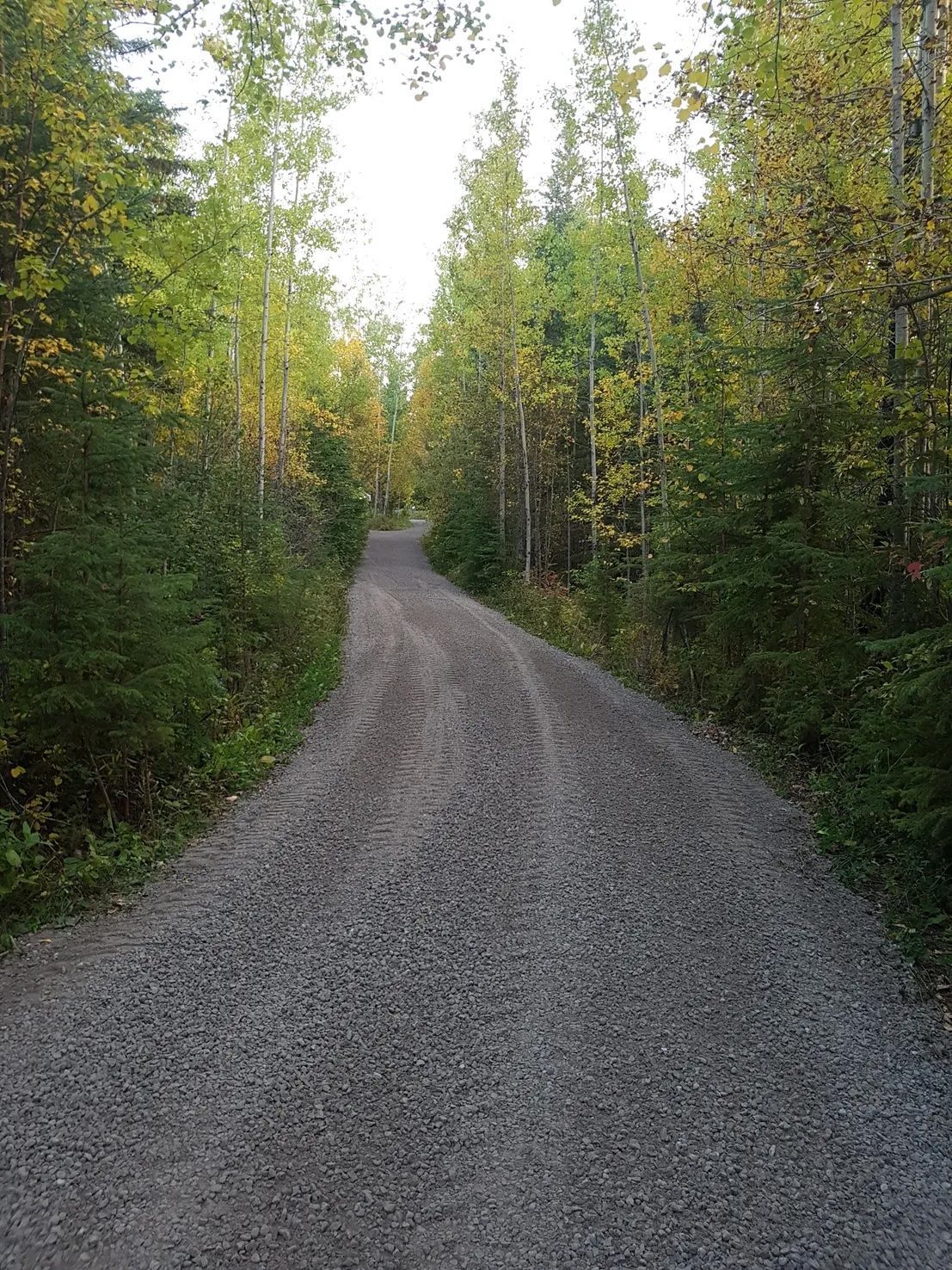 Excavation Service in Edson, AB