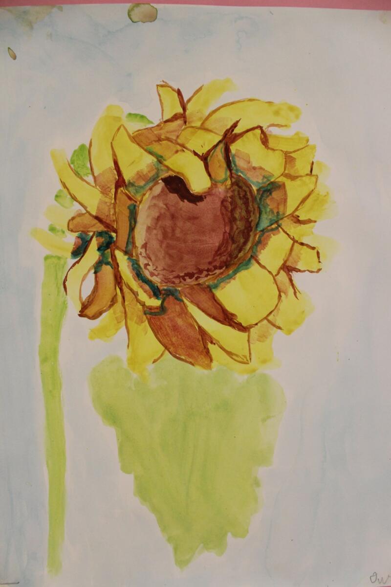 colorful drawing of a sunflower