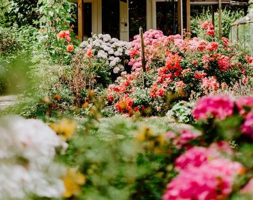 Lush garden filled with pink, red, and white flowers in bloom near a house garden entrance