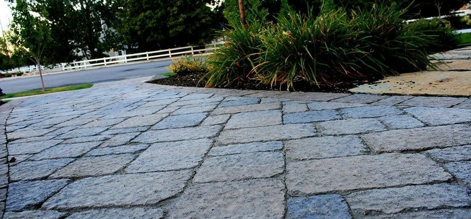Stone pavers lead to a landscaped area with green plants and a white fence in the background.