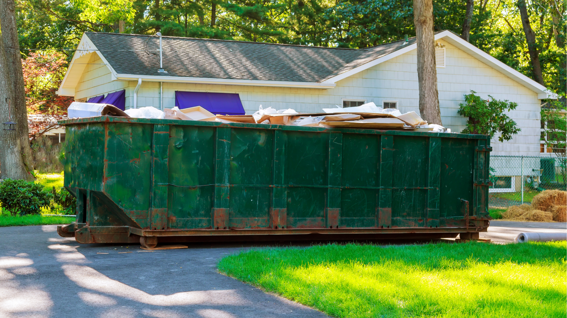Two blue wheeled trash bins on a paved surface near a tree and building.