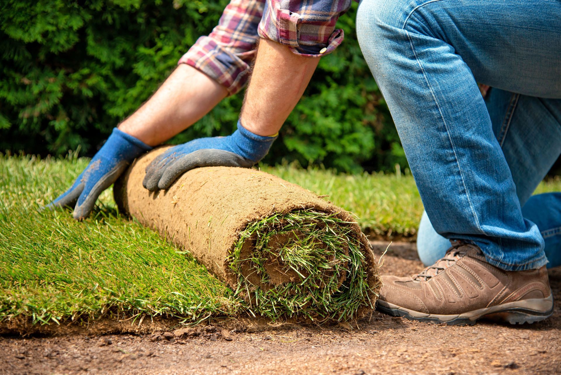 A man is laying sod on the ground.