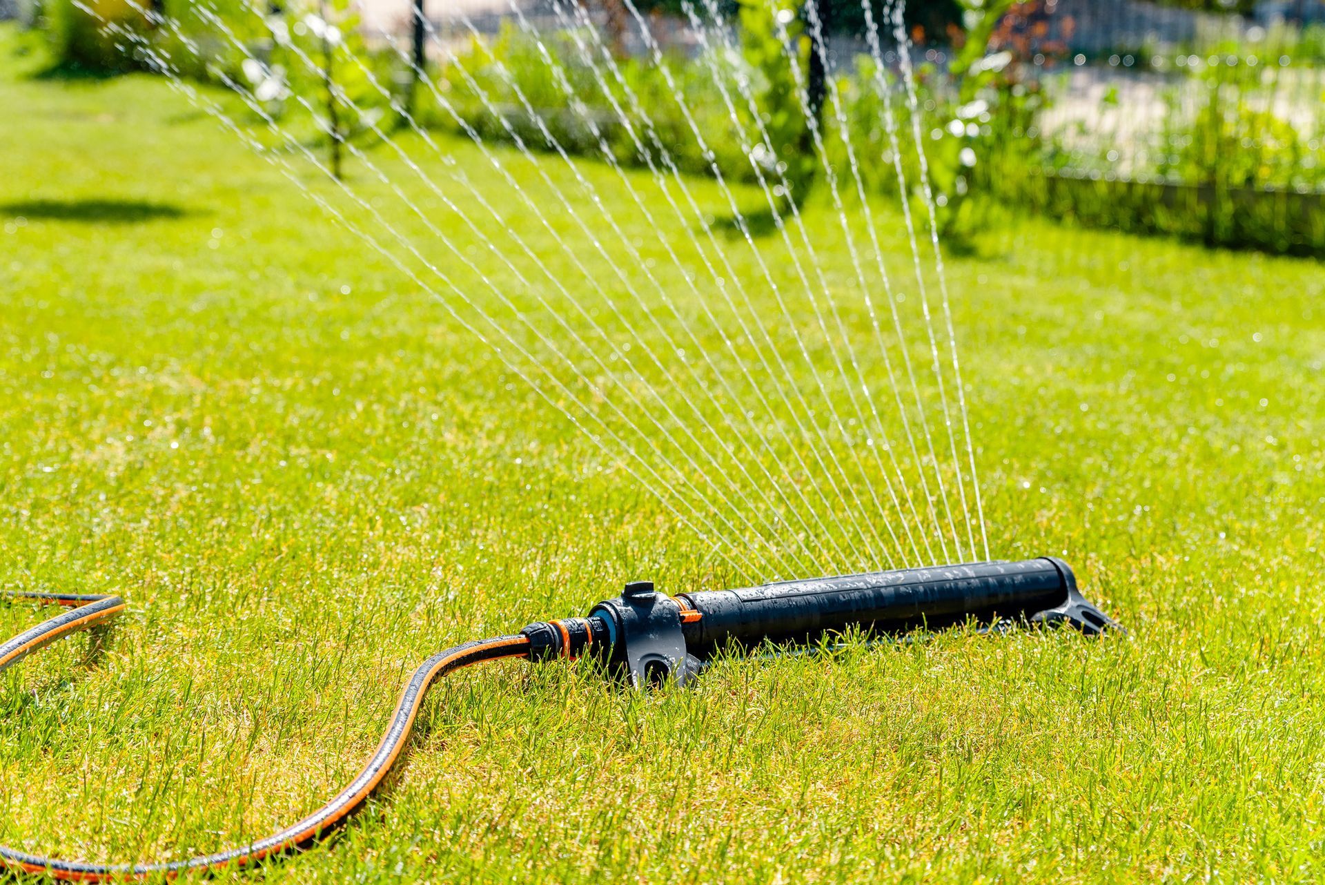 A lawn sprinkler is spraying water on a lush green lawn.