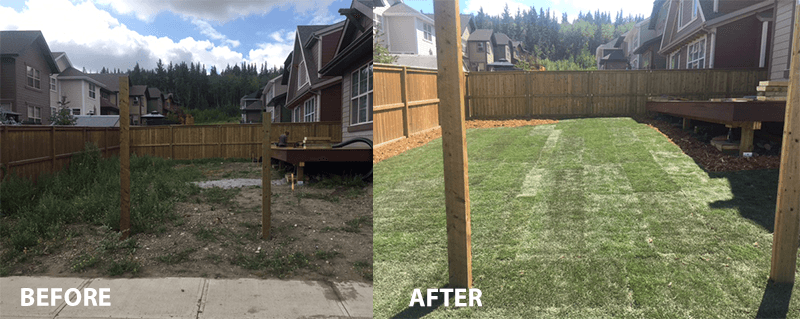 Before and after landscaping