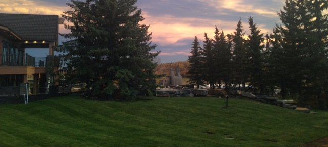 new sod care calgary