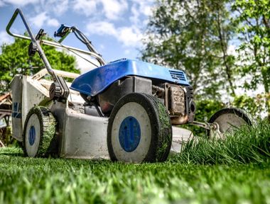 A blue and white lawn mower is sitting on top of a lush green lawn.