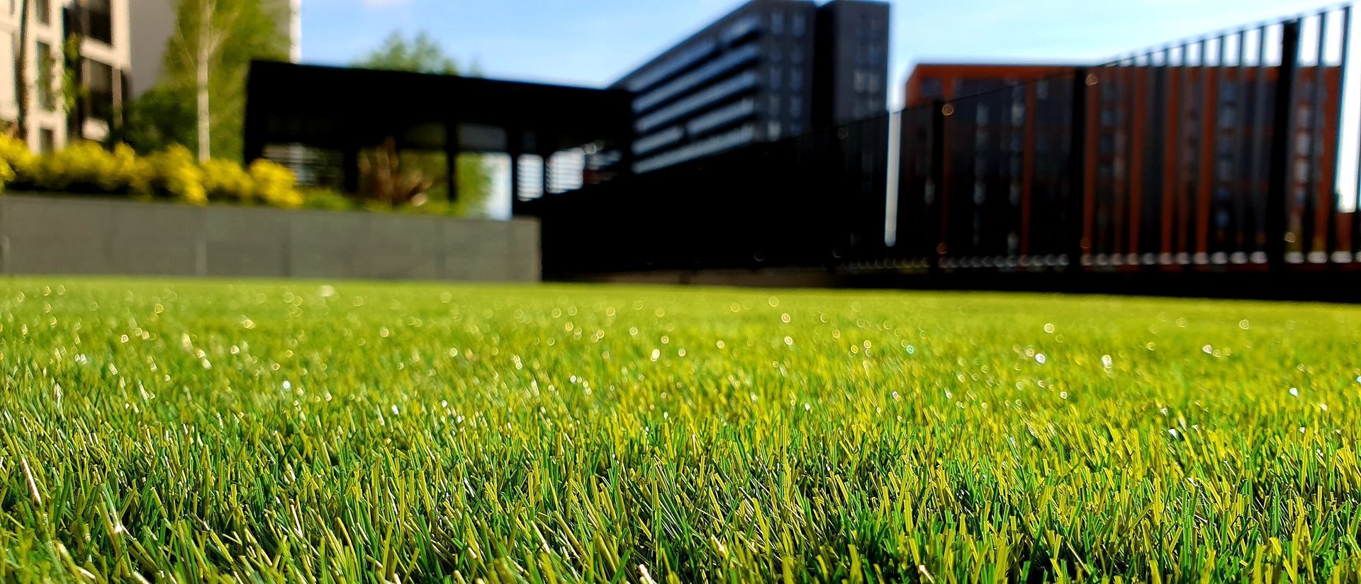 grass lawn in a commercial property