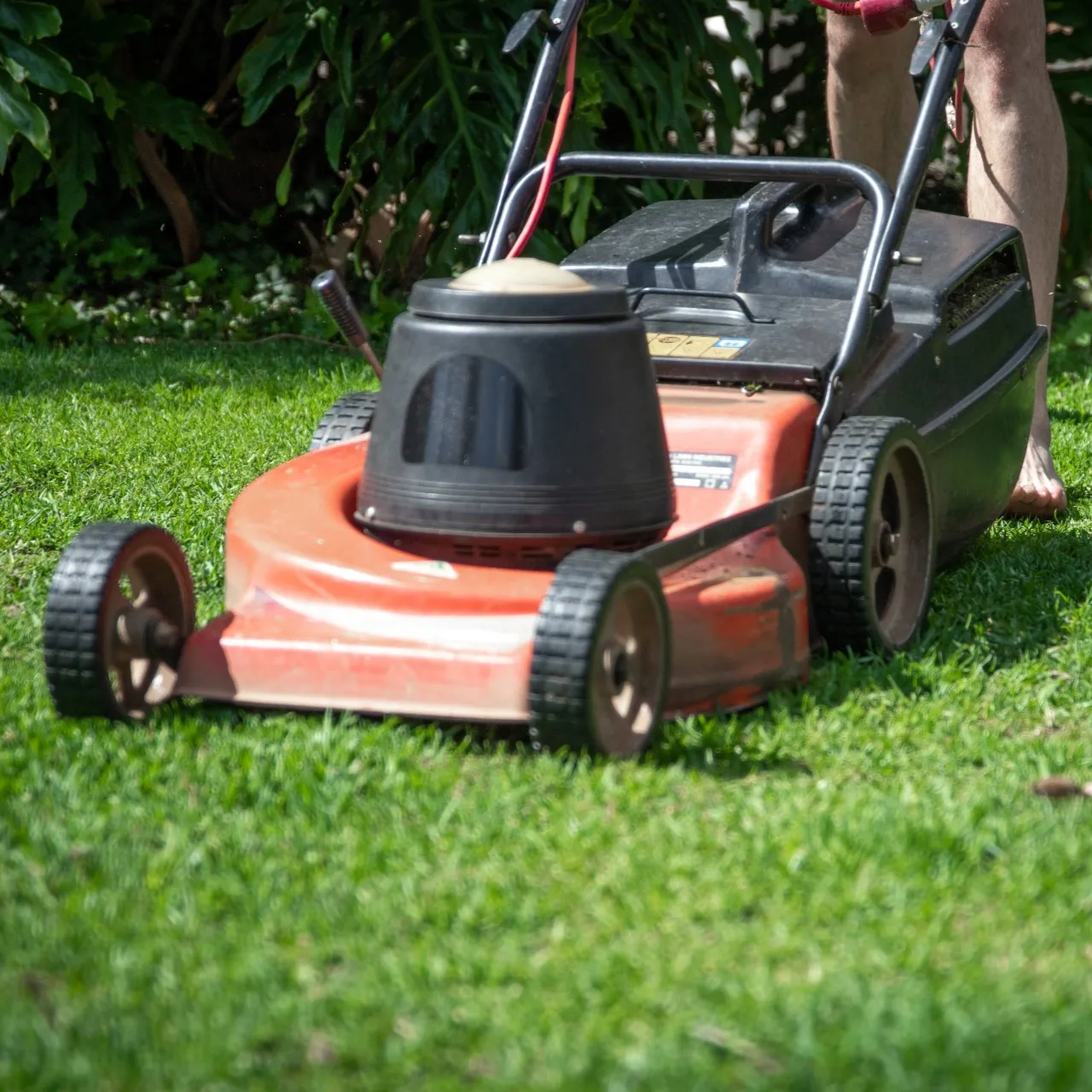 Weekly mowing, trimming, and seasonal cleanups in Airdrie to keep your property looking sharp.