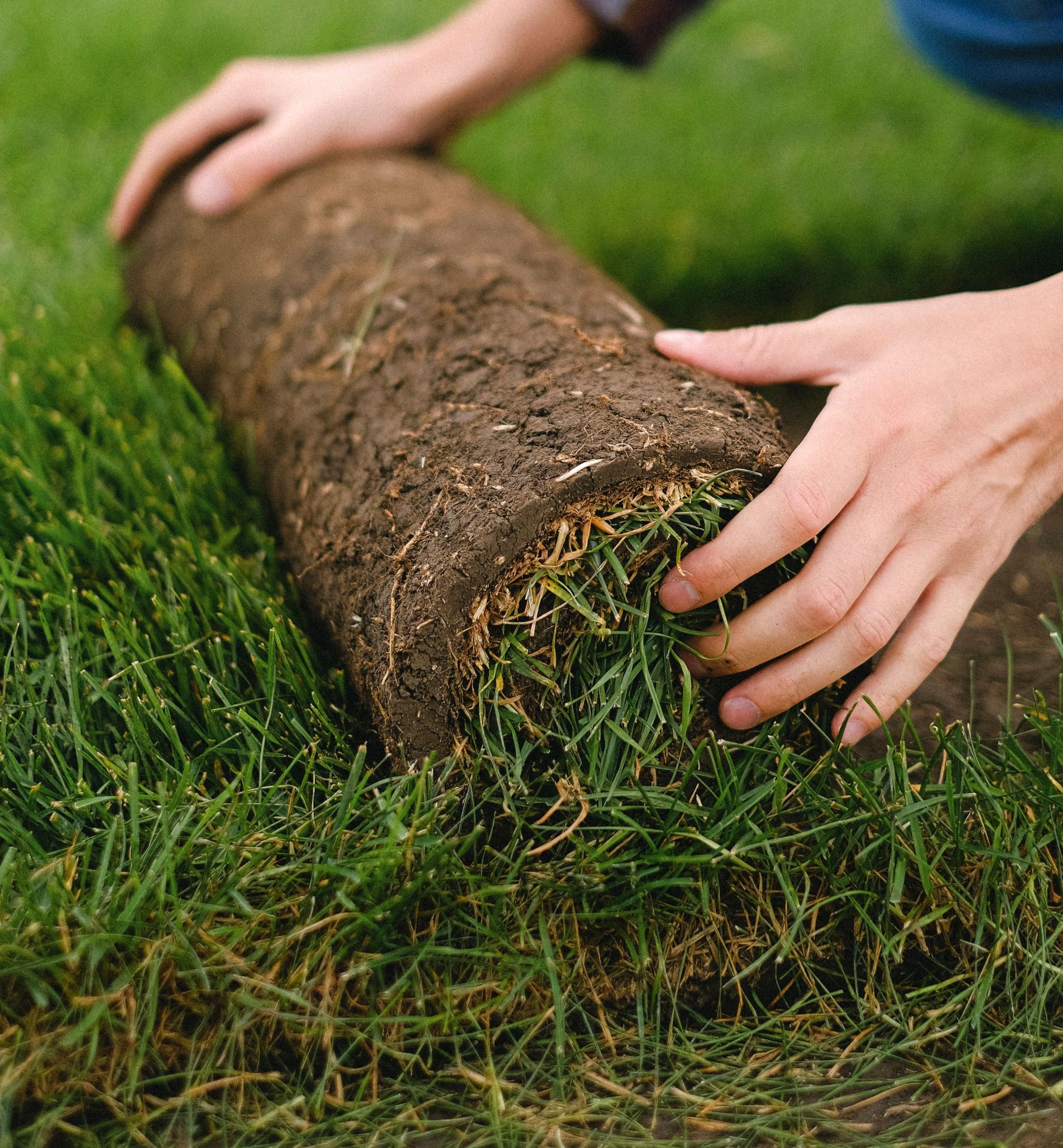 Residential Sod Installation: Hiring a Professional vs. Doing It Yourself