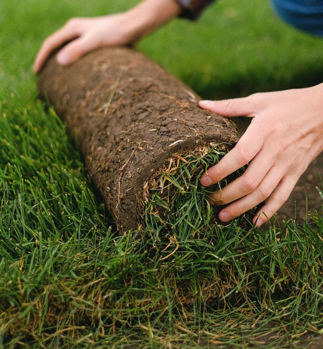 Sod Installation