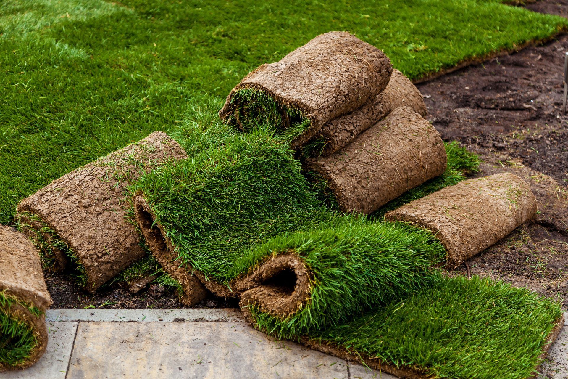 Rolls of fresh green sod stacked on paving stones, ready for installation.