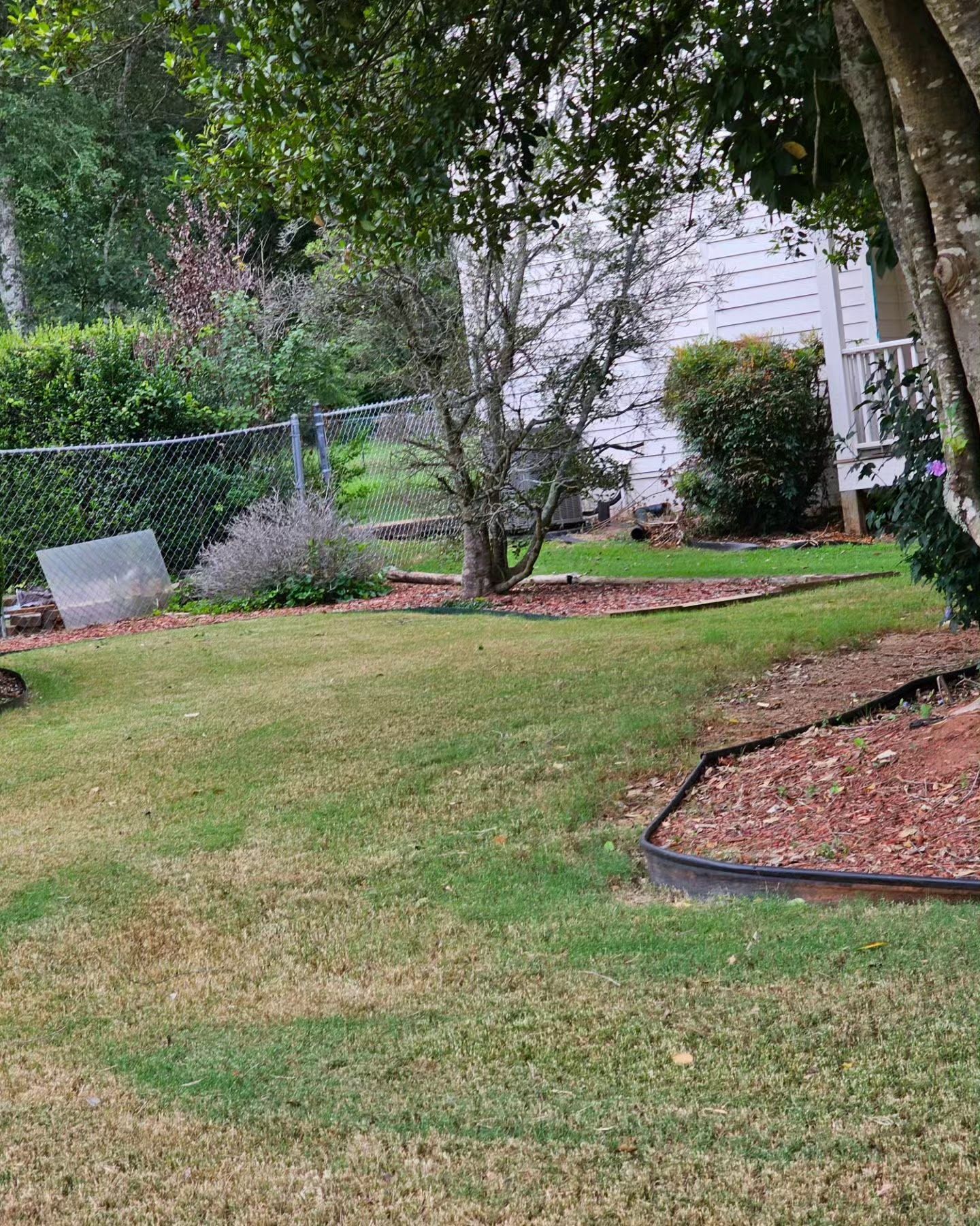 A lush green yard with a chain link fence and a white house in the background.