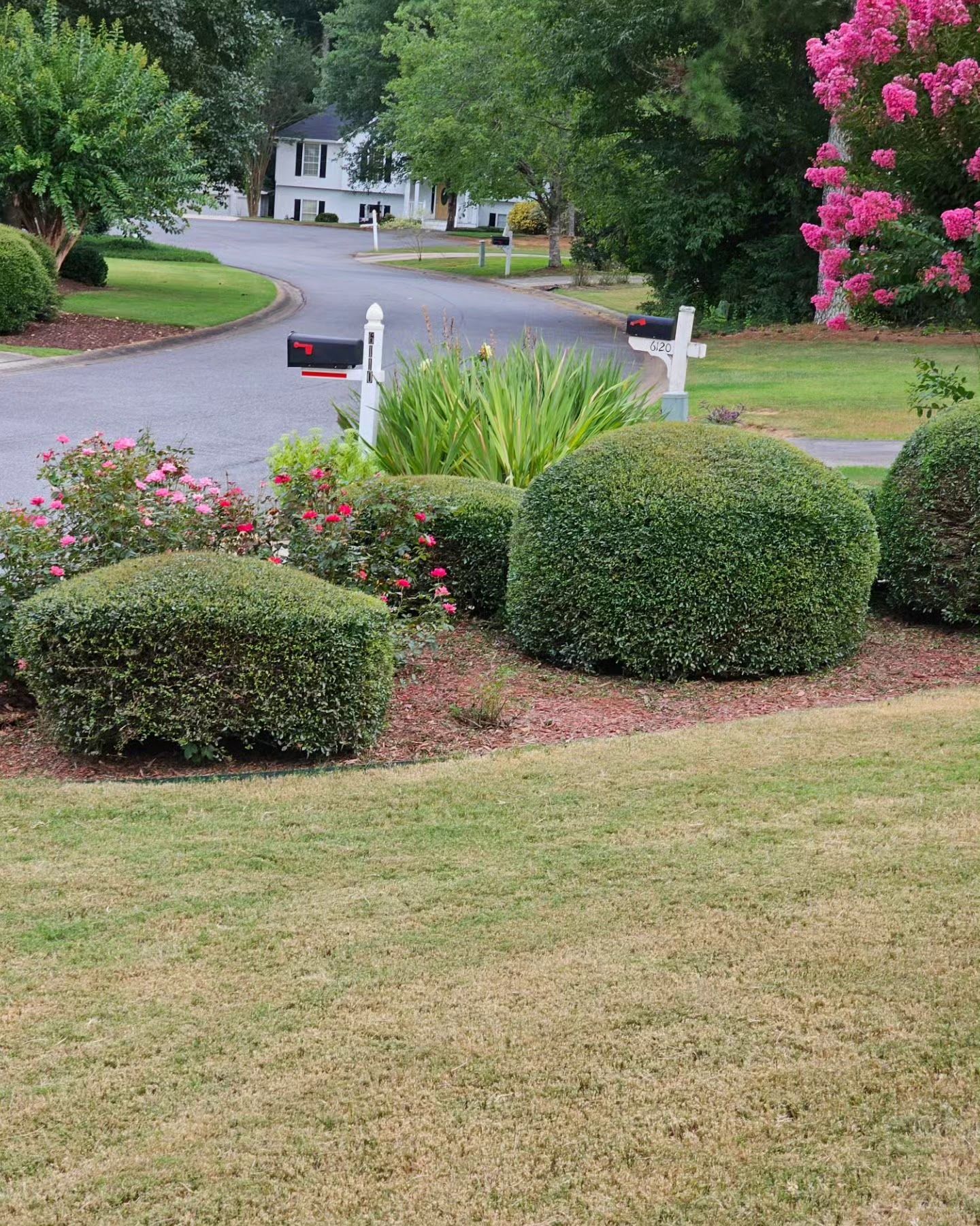 There is a mailbox in the middle of the yard.