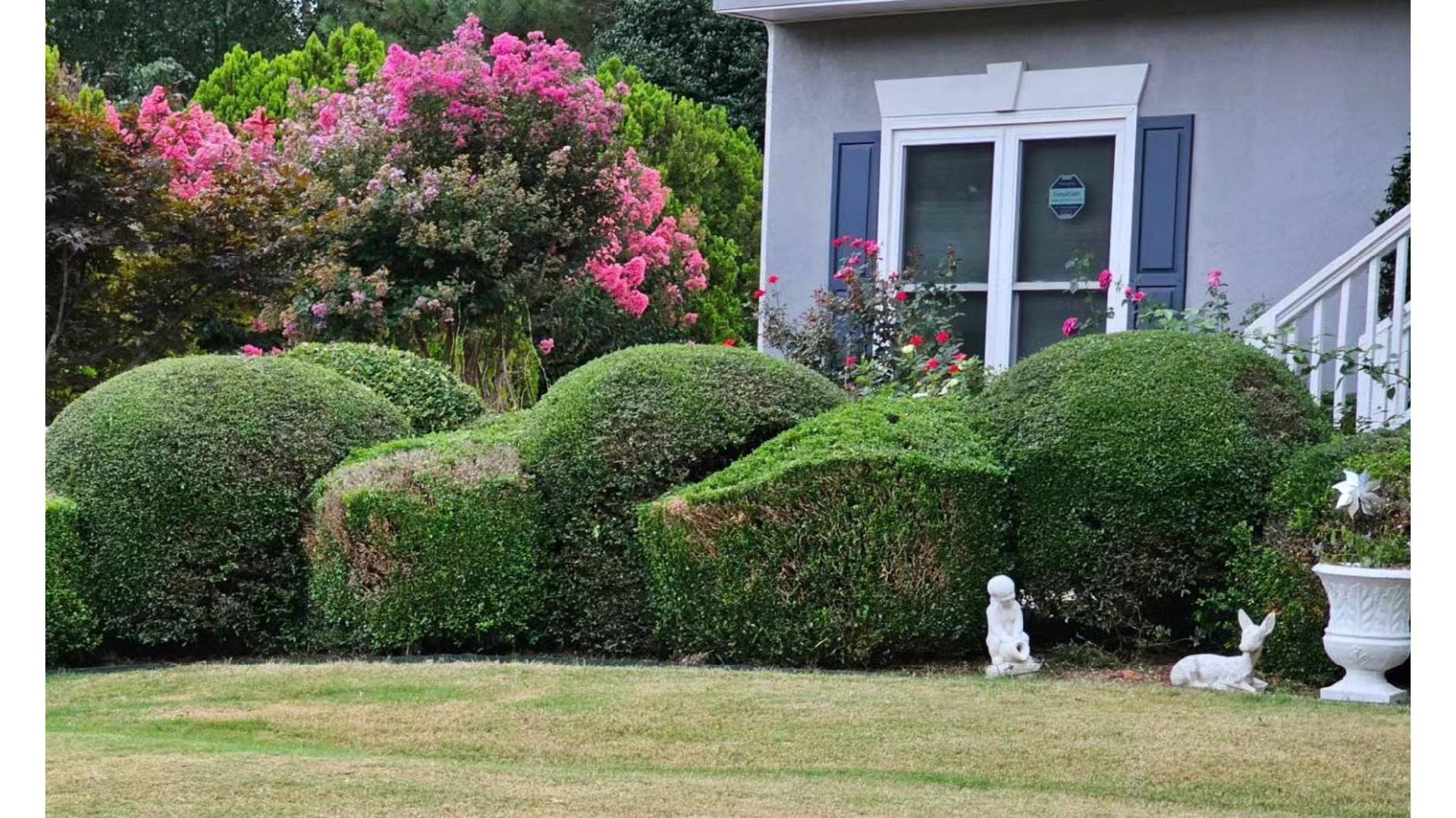 A house with a lawn and bushes in front of it