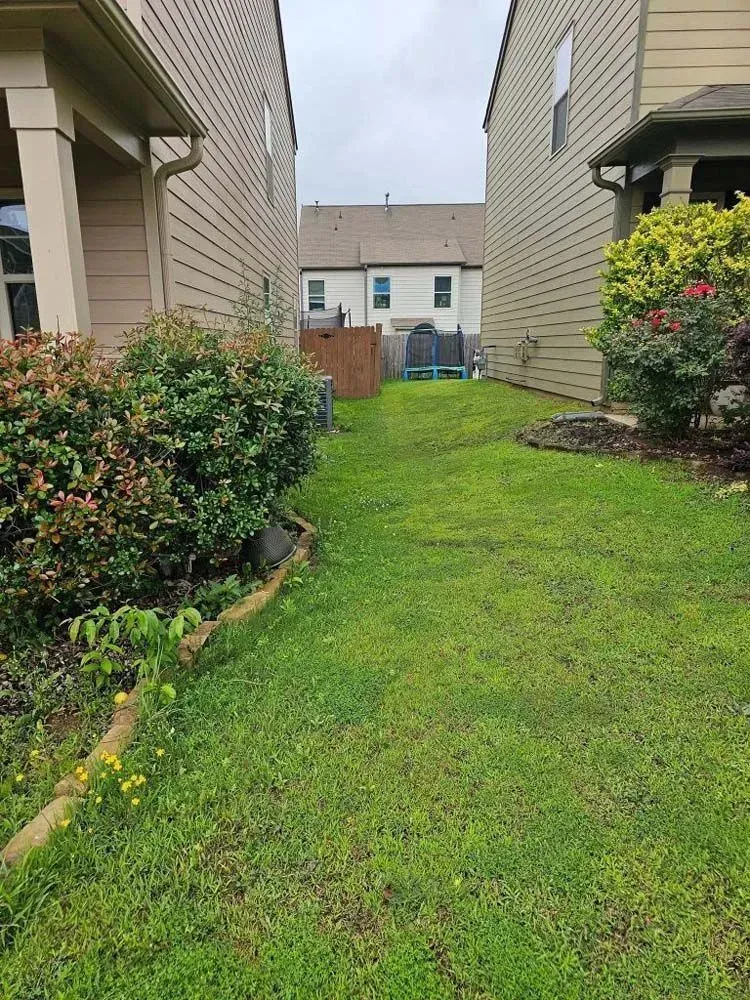 A lush green yard between two houses with a trampoline in the backyard.