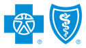 Blue Cross Blue Shield